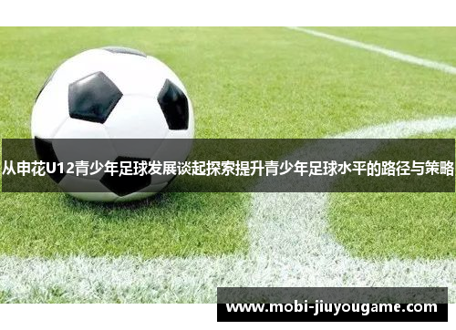 从申花U12青少年足球发展谈起探索提升青少年足球水平的路径与策略