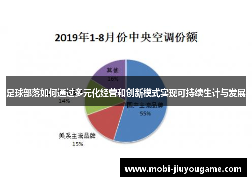 足球部落如何通过多元化经营和创新模式实现可持续生计与发展